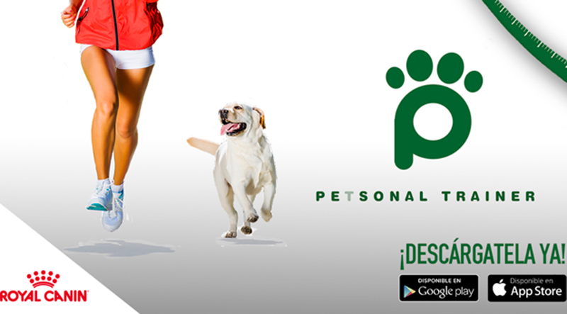 Petsonal Trainer, app para poner en forma a las mascotas
