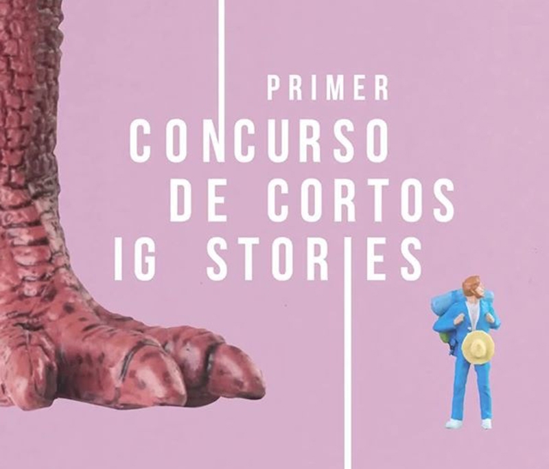 Primer Festival de Cortos en Instagram Stories