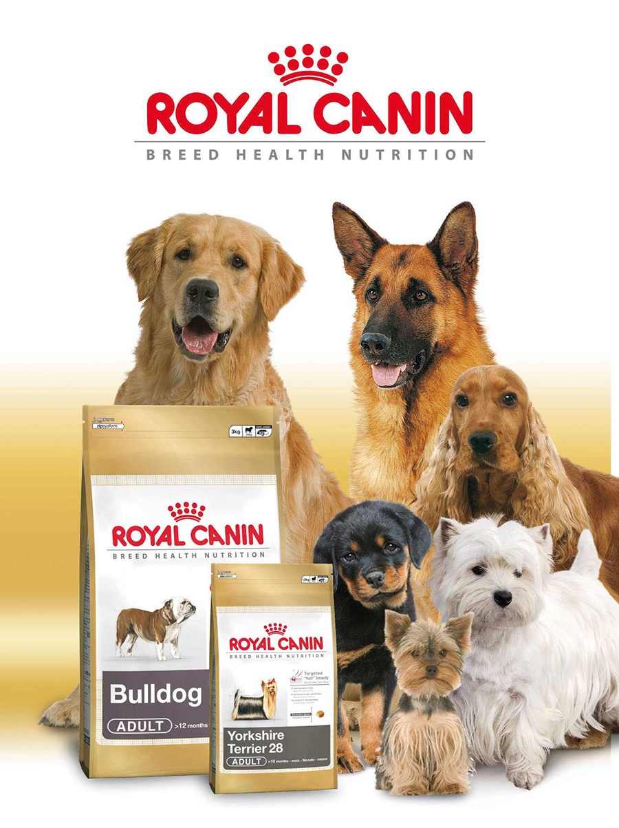 Royal Canin elige a SrBurns