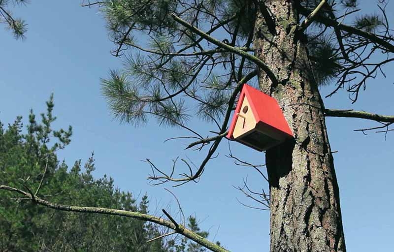 Casetas de pájaros con sensores de humo para prevenir incendios