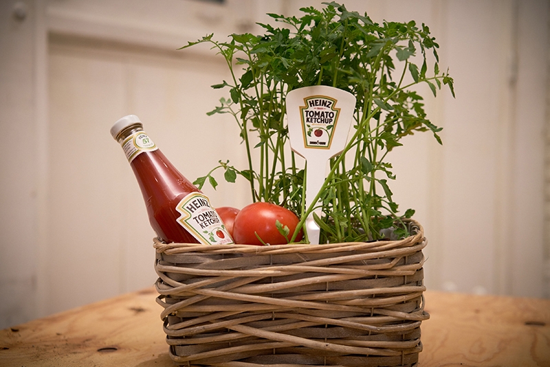 Sound&Grow, app de Heinz para cultivar tomates