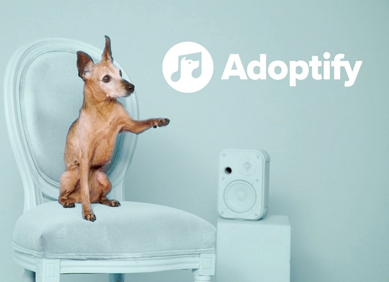 Cortés extraer Tumor maligno Adoptify' empareja a dueños y perros con el mismo gusto musical, Campañas |  Interactiva