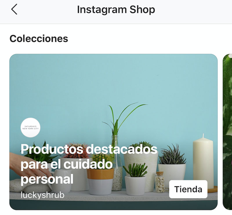 Instagram Shop para descubrir y comprar productos en un solo lugar