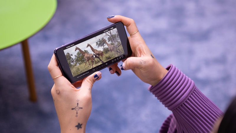 Samsung nos invita a vigilar la caza furtiva en África con el móvil